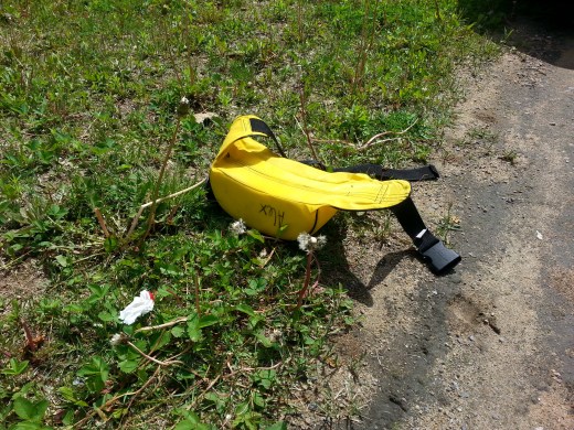 ...Turgeon! Everything's loose at the CNEPH, not much chance of finding «stuff» here. 