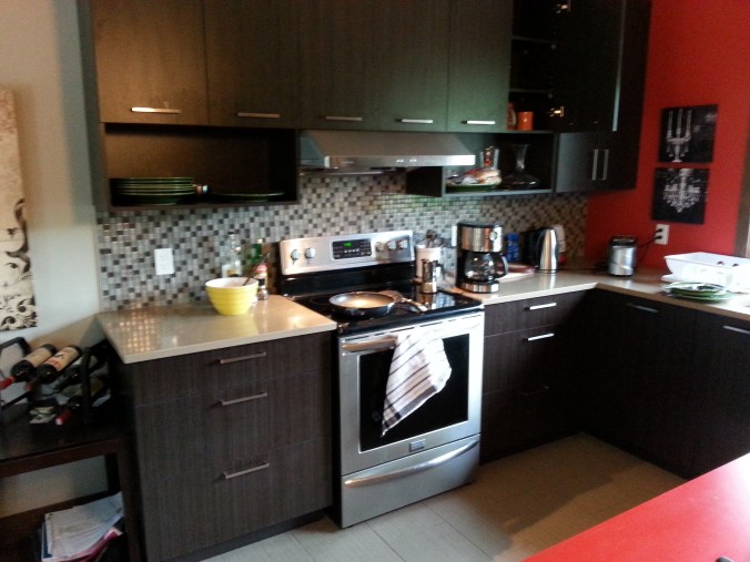 Cuisine moderne et tout de même très propre. Les boys font attention aux germes...