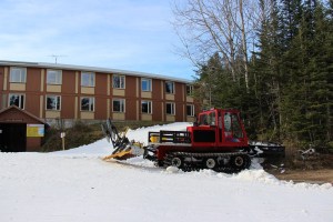 Forêt Montmorency (photo: Denis Hamel)