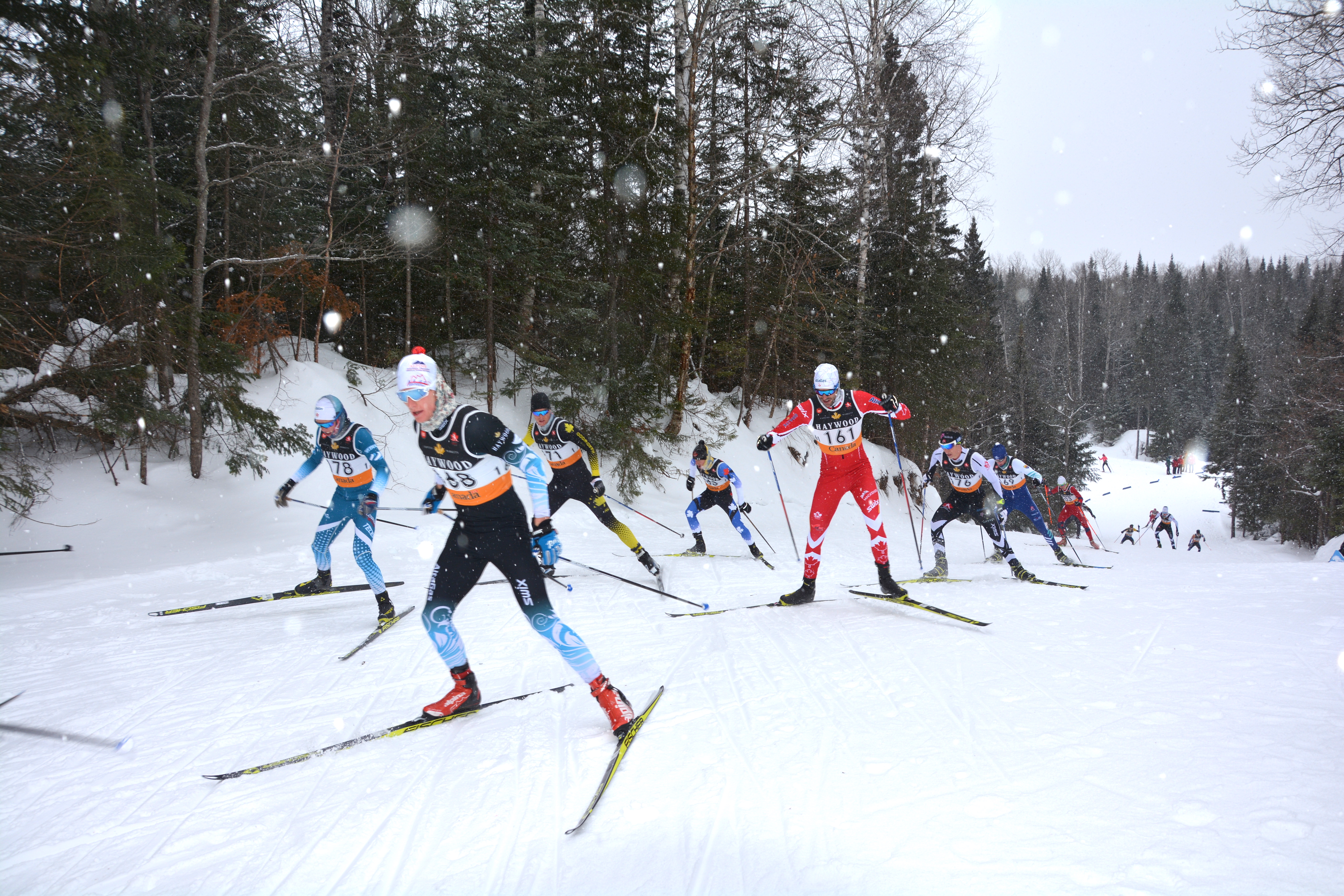 Gareth Williams, no 178 (photo: Michel Bolduc)